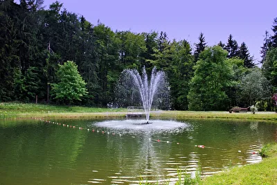 im Park
