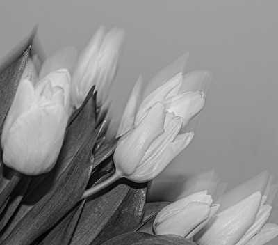 ohne Titel