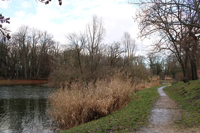 Der Weg durch den Stadtpark