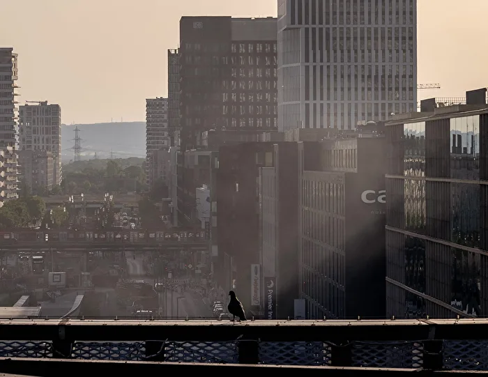 View from Skyline Garden | ALEX