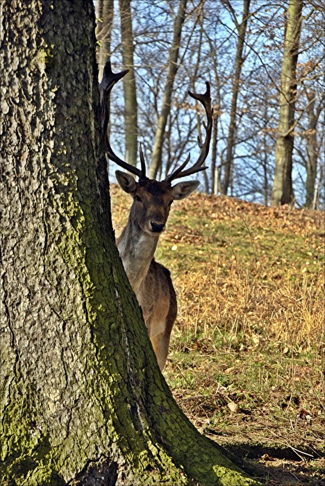 ich riskier mal einen Blick....