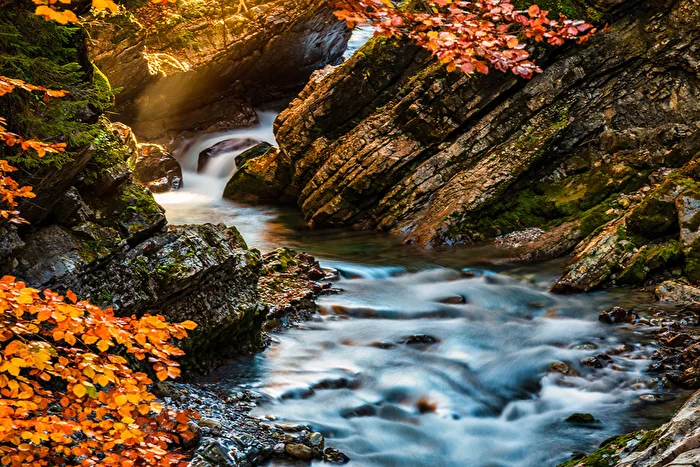 Autumn feeling