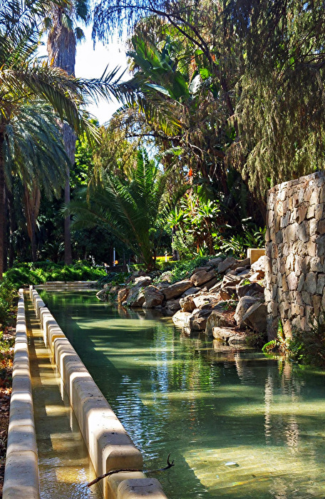 botanischen Garten, in Málaga