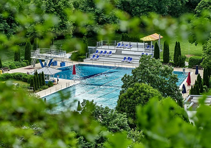 Pool im Grünen