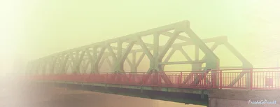 The Fog