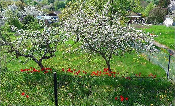 Blick über den Gartenzaun