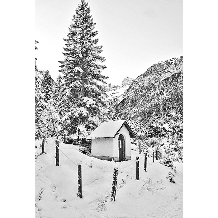 Winterland