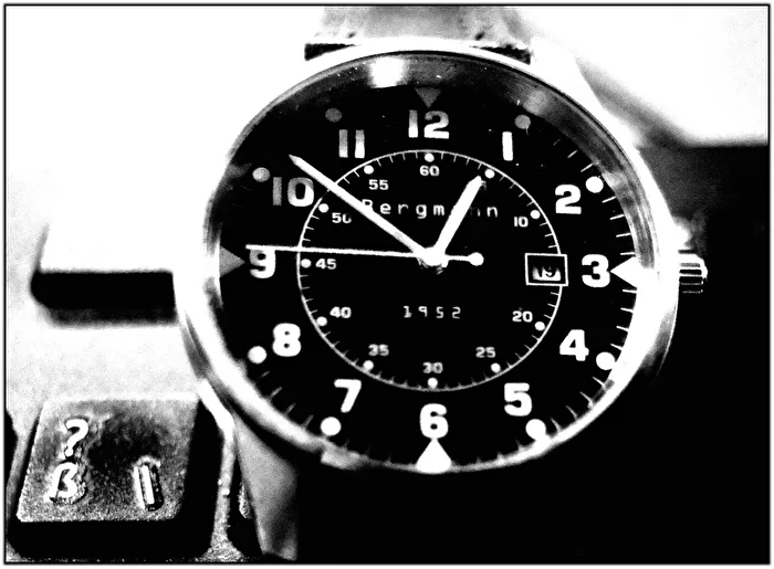 "Bergmann 1952"