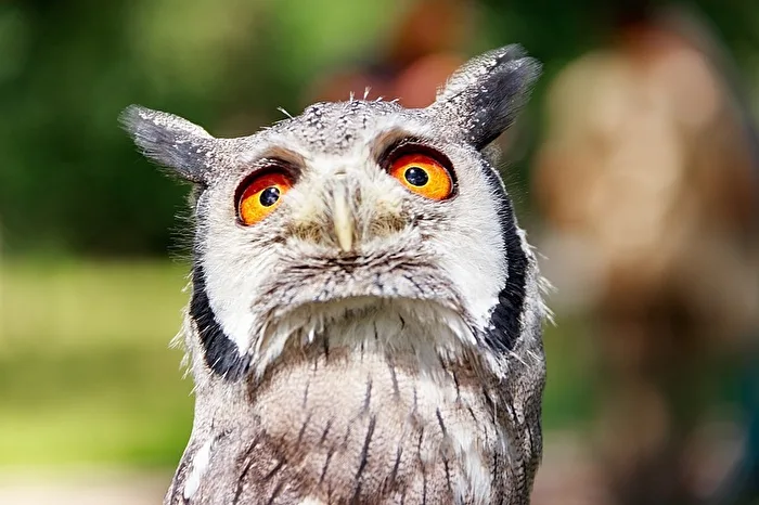 What are you looking at?