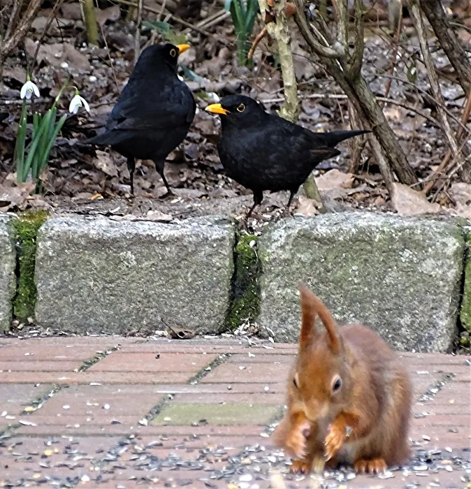 Under observation.