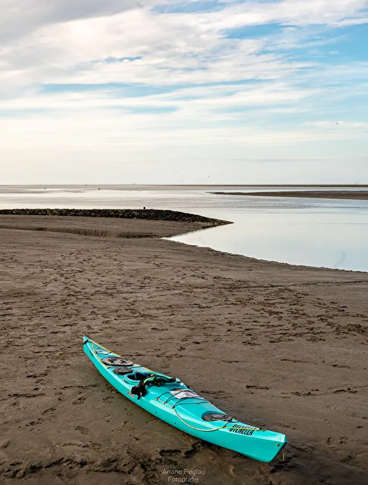 Kayak dans la vase