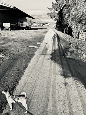 Happy long weekend 🐕☀️