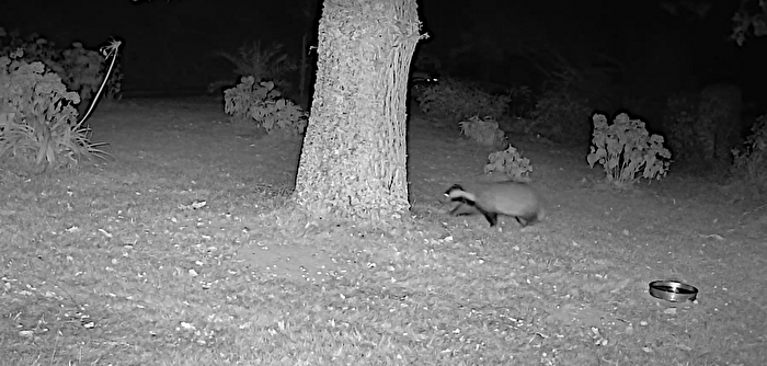 The night watch on patrol