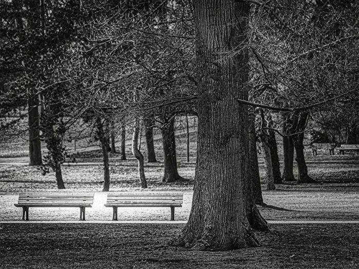 Ruheplatz im Park