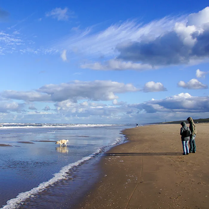 Meer