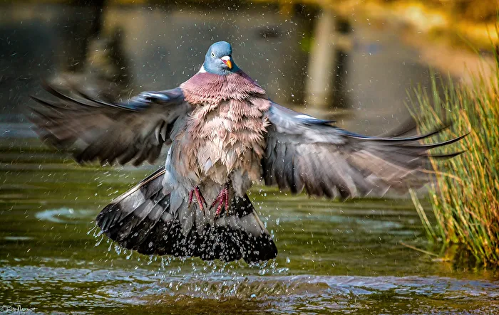 Abflug....