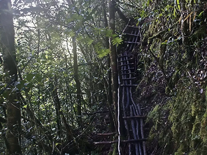Abenteuer in Sabah