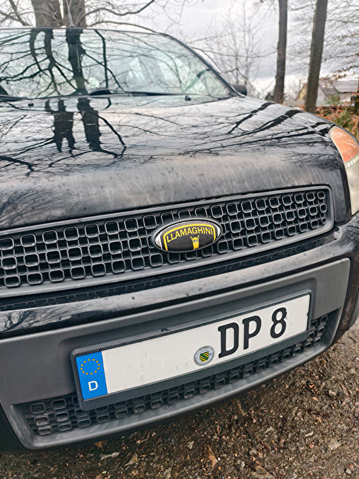 Aufwertung eines Ford