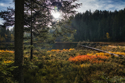 Ein herrlicher Herbstmorgen am See