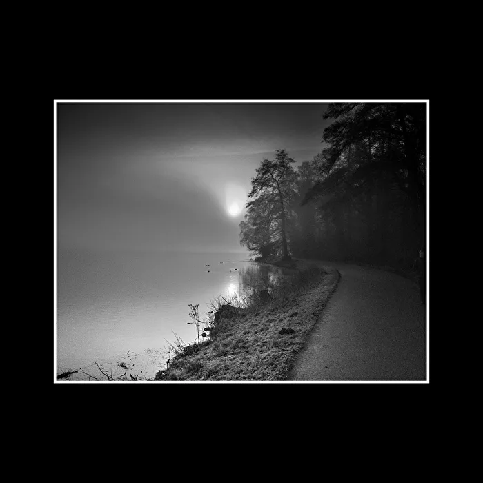 Ein Wintermorgen mit Nebel am See