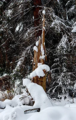 Winterskulptur