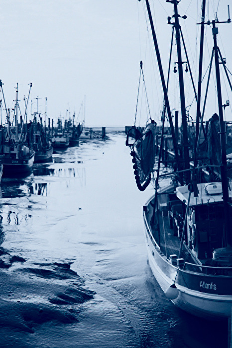 Krabenkutter Hafen Dorum