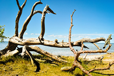 Am Strand in Ludwigsburg