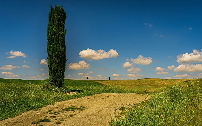 Toskana Crete Senesi