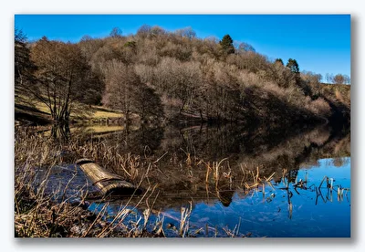 Am Weinfelder Maar 2
