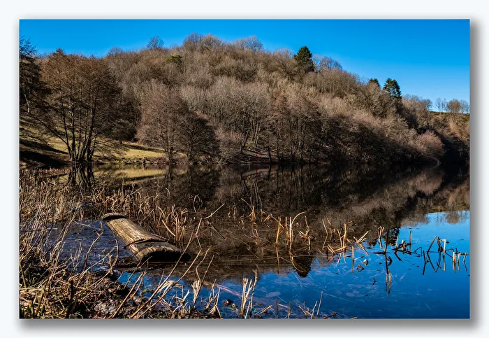 Am Weinfelder Maar 2