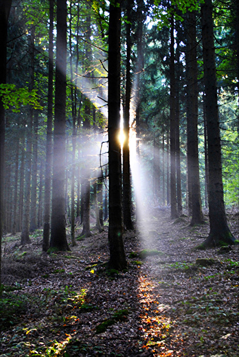 natürliche Beleuchtung