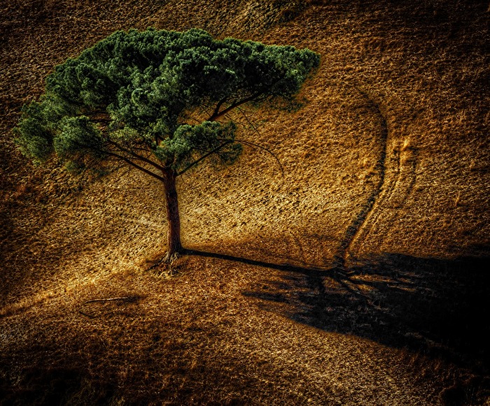 Crete Senesi