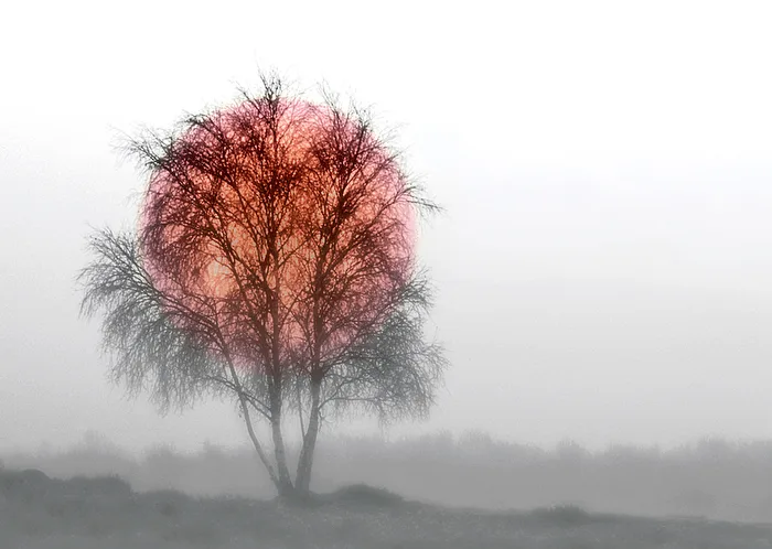 WESTRUPER HEIDE