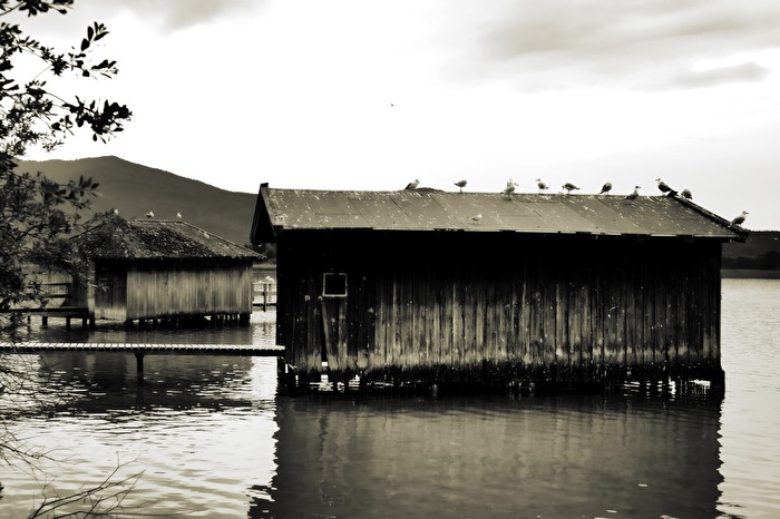 eine neue Möwenpicknick Fly Inn-Station