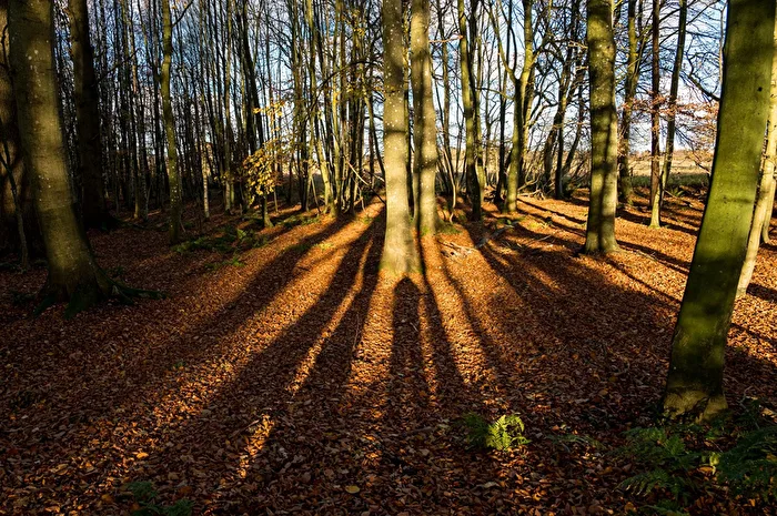 Licht & Schatten