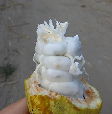 Was ist das?