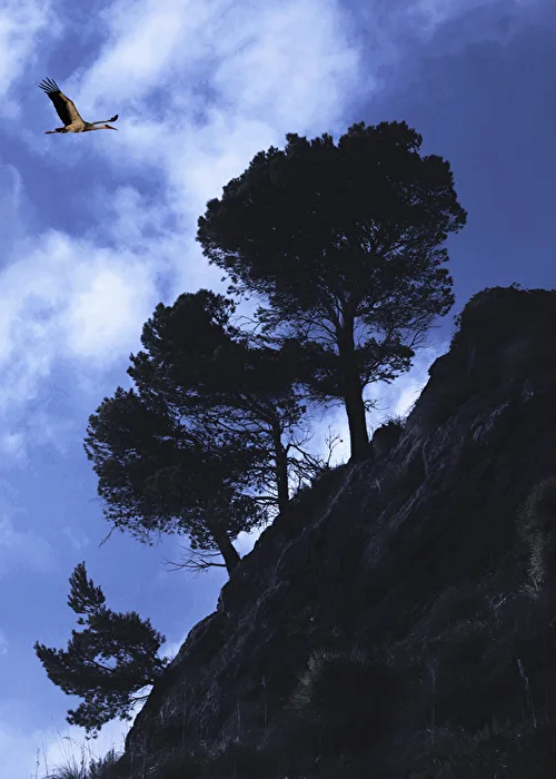 MALLORCA