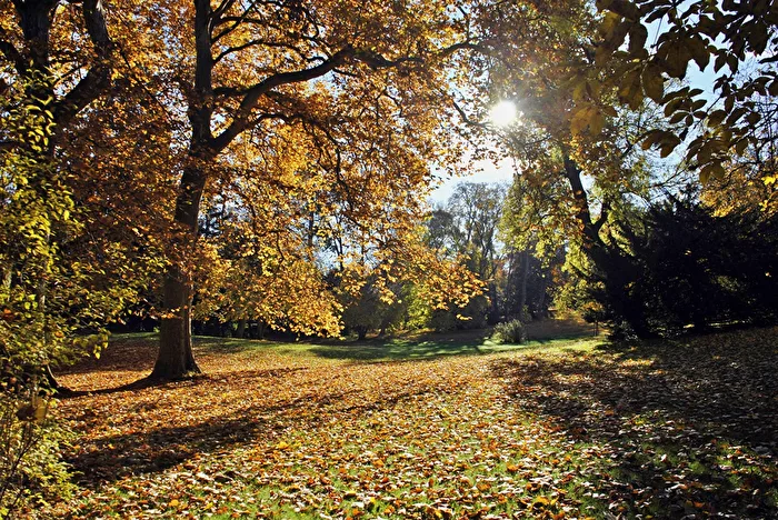 Autumn morning
