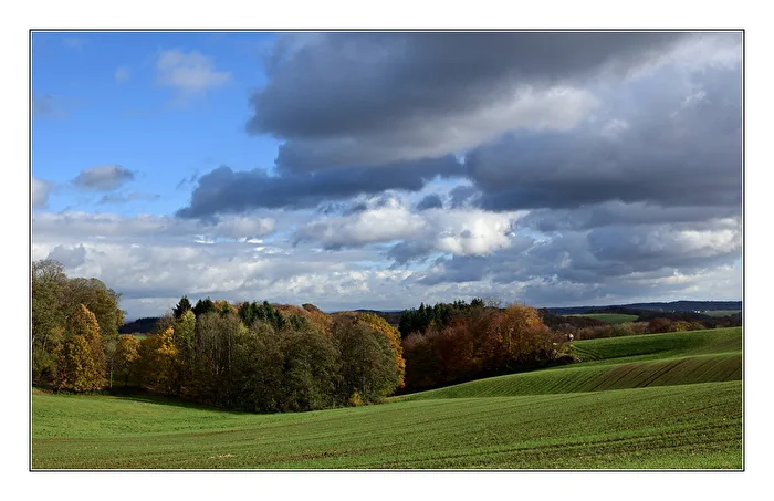 Autumn