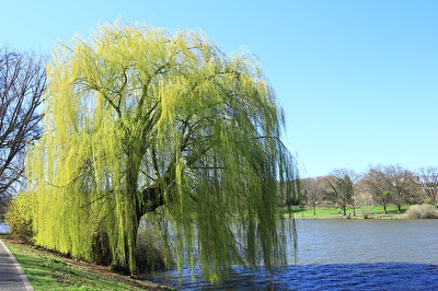 Frühling