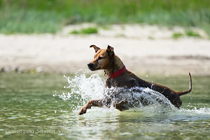 Baden in der Ostsee