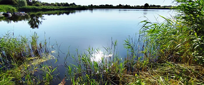 ein Sommermorgen