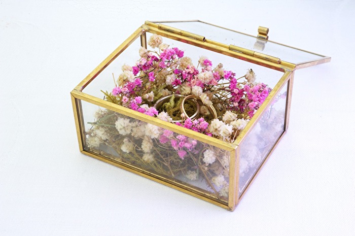 Small box of big hopes.