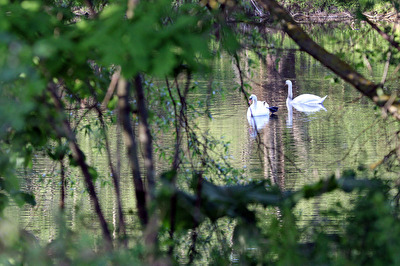 Entdeckungen am Abend (1)