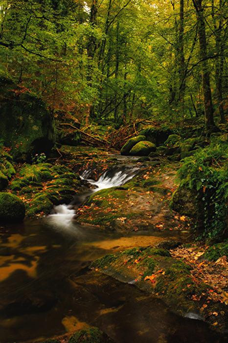 Der Herbst hält Einzug