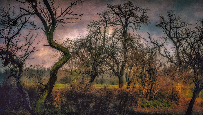 Bislicher Insel