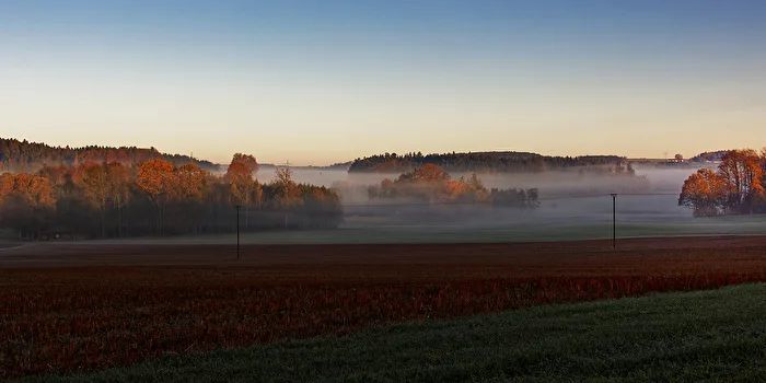 Morgennebel