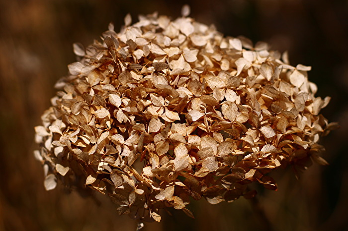 Natur