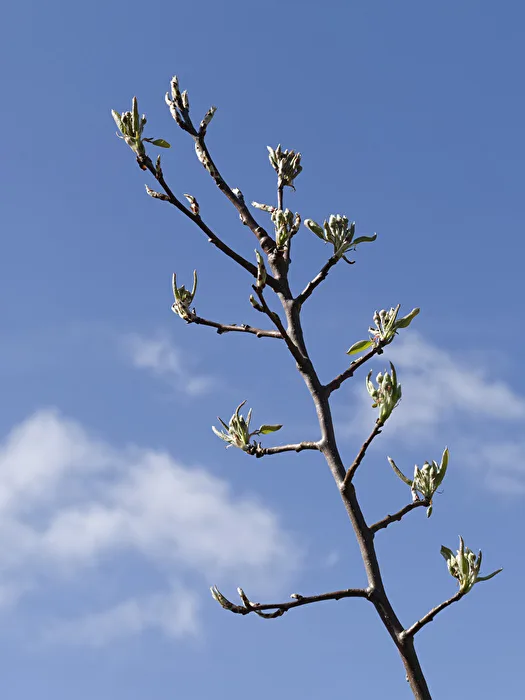 Der Sonne entgegen