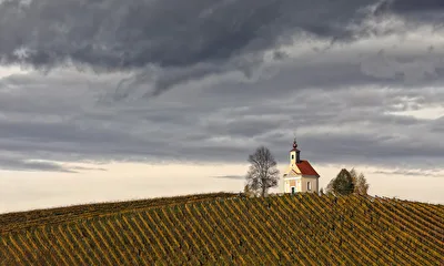 Weinberg